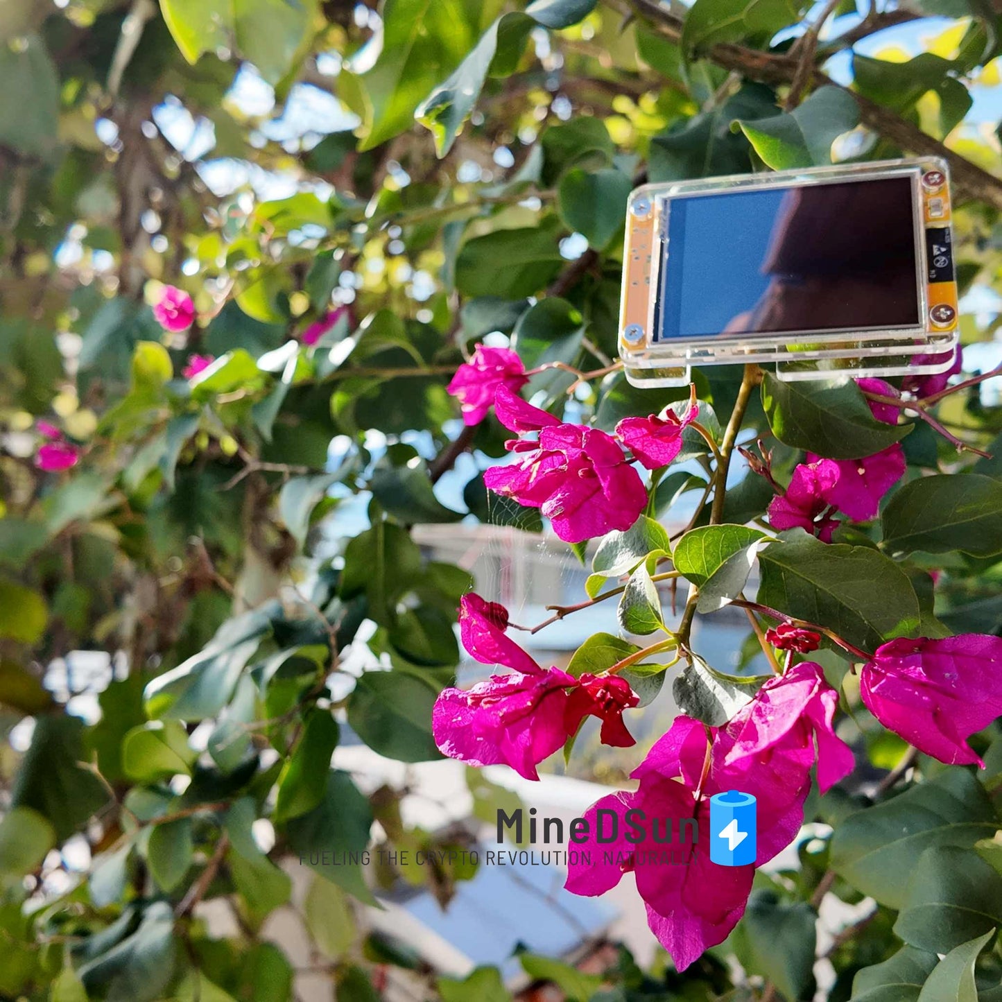 NMMiner NerdMiner V2 Bitcoin lottery miner